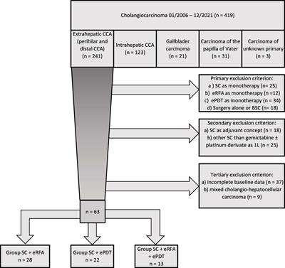 Comparison between regular additional endobiliary radiofrequency ablation and photodynamic therapy in patients with advanced extrahepatic cholangiocarcinoma under systemic chemotherapy